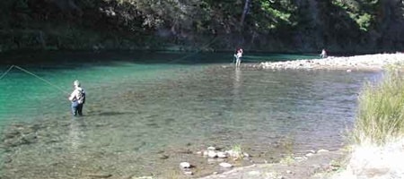 トンガリロリバー Birch Pool